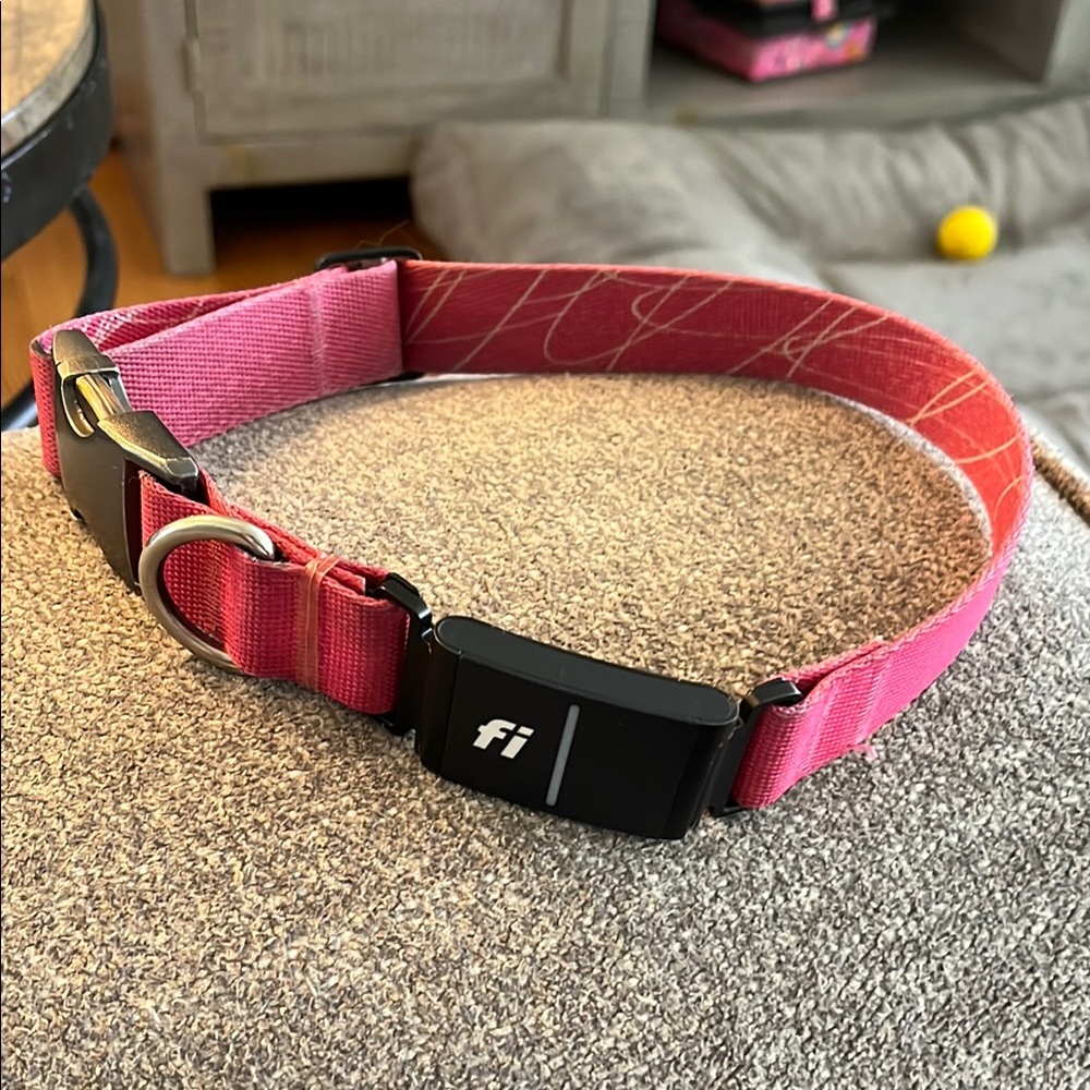 Fi series 3 collar & WiFi Base